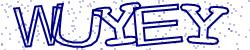 Retype the CAPTCHA code from the image
