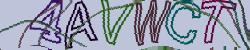 Retype the CAPTCHA code from the image
