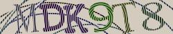 Retype the CAPTCHA code from the image