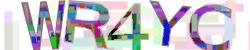 Retype the CAPTCHA code from the image