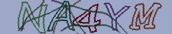Retype the CAPTCHA code from the image
